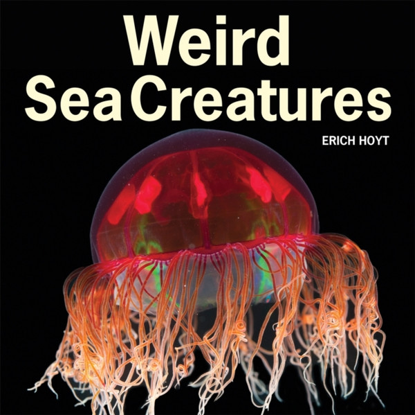 Weird Sea Creatures