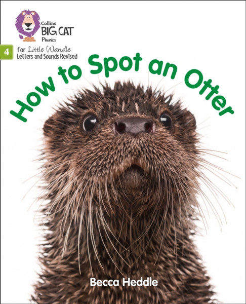 How To Spot An Otter: Phase 4