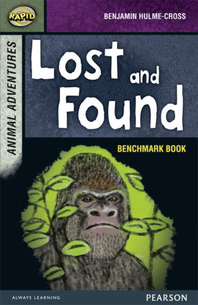 Rapid Stage 7 Assessment Book: Lost And Found