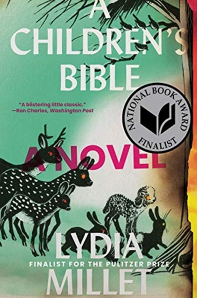 A Children'S Bible: A Novel - 9780393867381
