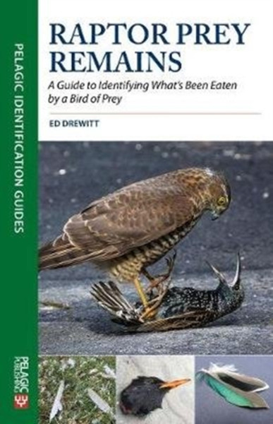 Raptor Prey Remains: A Guide To Identifying What'S Been Eaten By A Bird Of Prey