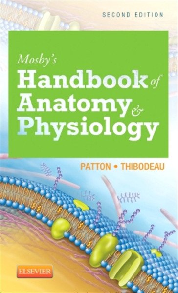 Mosby'S Handbook Of Anatomy & Physiology