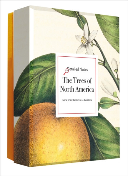 The Trees Of North America: A Detailed Notes Notecard Set