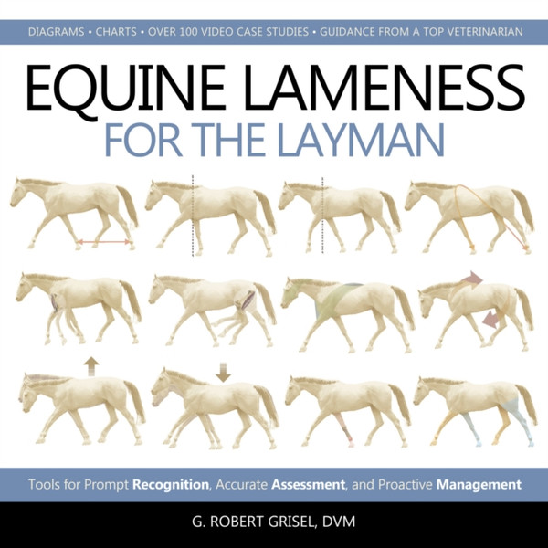 Equine Lameness For The Layman: Tools For Prompt Recognition, Accurate Assessment, And Proactive Management