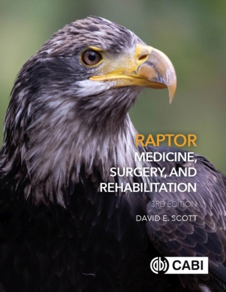 Raptor Medicine, Surgery, And Rehabilitation