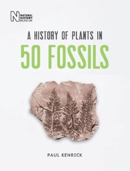 A History Of Plants In 50 Fossils