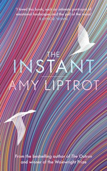 The Instant: Sunday Times Bestseller