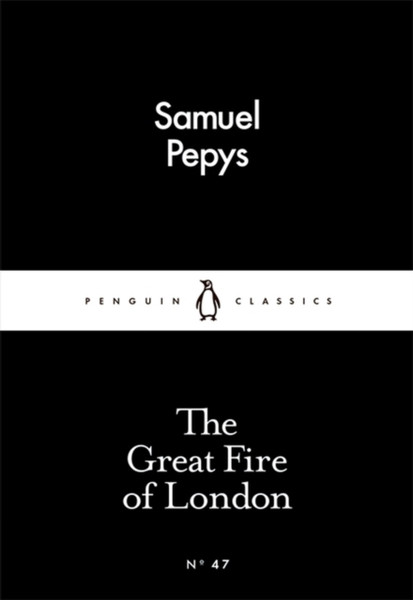 The Great Fire Of London - 9780141397542