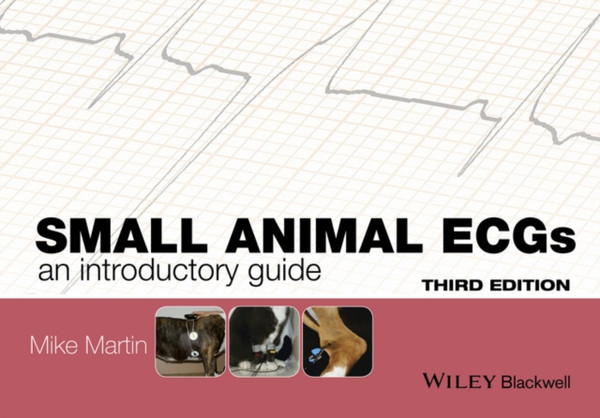 Small Animal Ecgs: An Introductory Guide