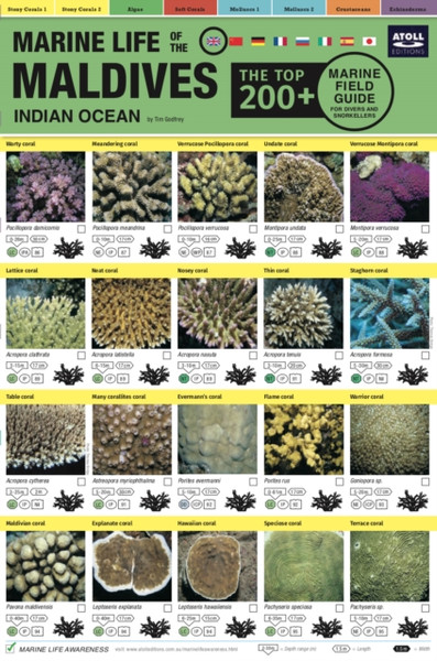 Maldives Marine Life Field Guide: Top 200+