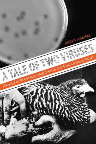 A Tale Of Two Viruses: The Parallel Research Trajectories Of Tumor And Bacterial Viruses