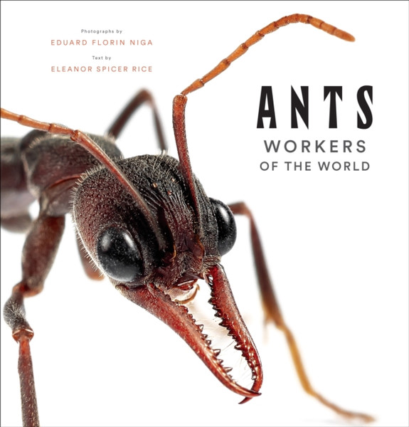 Ants: Workers Of The World