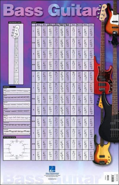 Bass Guitar Poster: 23 Inch. X 35 Inch. Poster