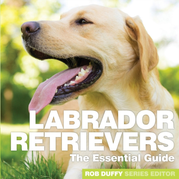 Labrador Retrievers: The Essential Guide