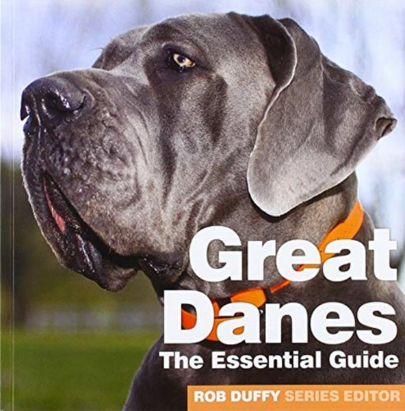 Great Danes