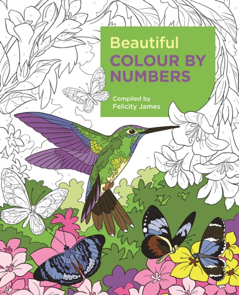 Beautiful Colour By Numbers