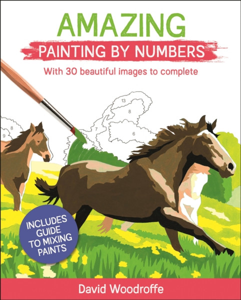 Amazing Painting By Numbers: With 30 Beautiful Images To Complete. Includes Guide To Mixing Paints
