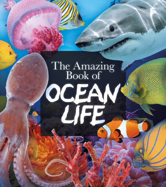 The Amazing Book Of Ocean Life