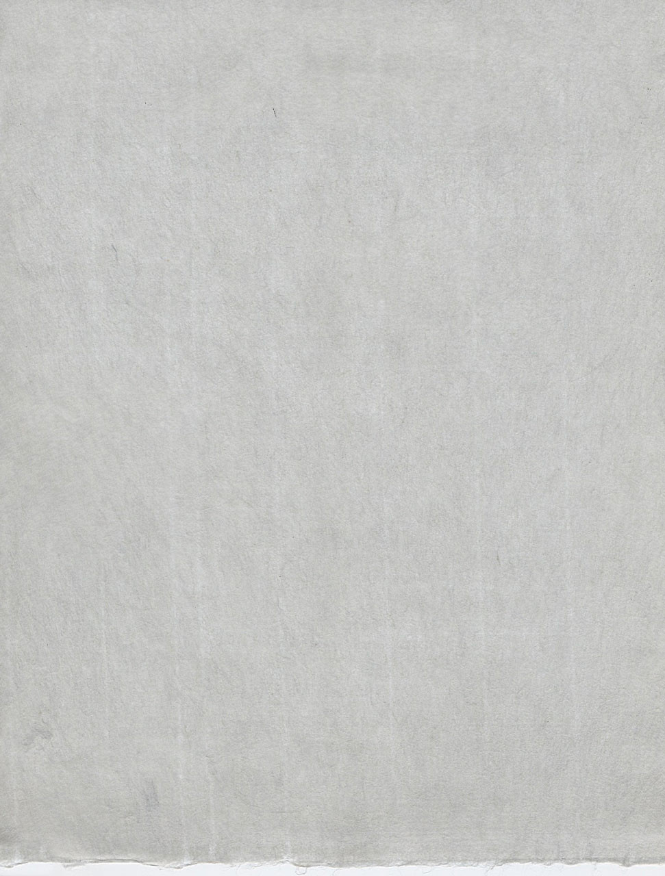 【激レア】あじ秋刀魚　直筆サイン色紙【Innocent Grey】 Kizuki Somegami Grey - The Japanese Paper Place