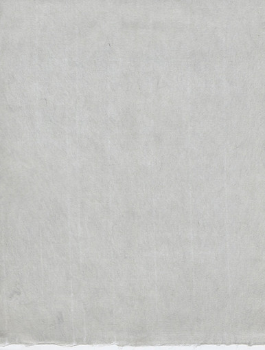 SCK13651_3999__29427.