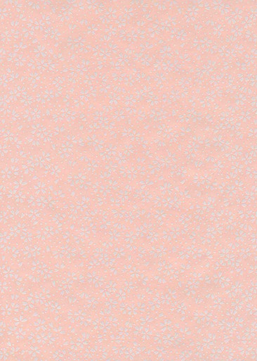 JPP11919_1564__00024.