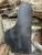 Talon Sig P365 IWB Tuckable Black Left Hand