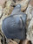 Talon Ruger LCR Outside the Waistband Holster Black LH