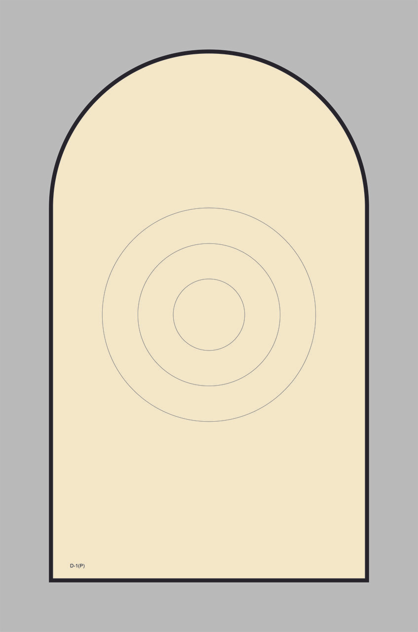 The D-1(P) is the Official NRA Bianchi Cup Action Pistol target