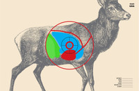 SRT - Hunting Targets - Buck (Torso) (100 Target Pack)