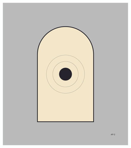 AP-2 (P) (100 Target Pack)