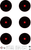 SRT - Bulls Eye Targets - 6Up Bullseye (3 Rings) BLACK (100 Target Pack)