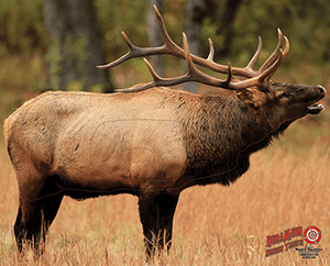 DuraMesh Archery Target Elk 1 25 in. x 32 in. R557-80234