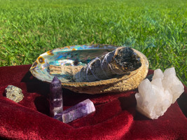 Everything You Need to Know About White Sage and Smudging