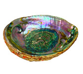 Abalone Shell