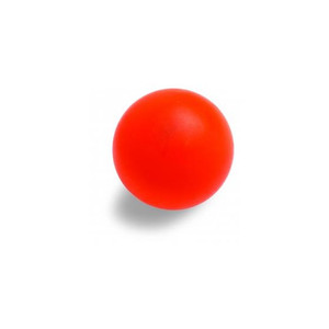 Indoor Hardshell Shots