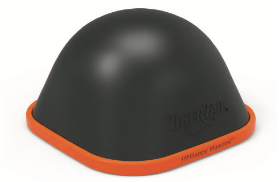 Tiger Tail- The Curve Ball