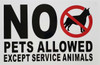 NYC WINDOW STICKER- NO PETS ALLOWED EXCEPT SERVICE ANIMALS