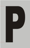 Apartment Number Sign  - Letter p