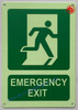 Photoluminescent EMERGENCY EXIT WITH SYMBOL SIGN