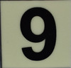 PHOTOLUMINESCENT DOOR NUMBER 9 SIGN