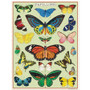 Puzzle Mini Butterflies