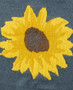 Wasatch Crew Sweater Sunflower