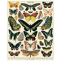 Puzzle - Butterfly