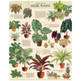 Puzzle - House Plants