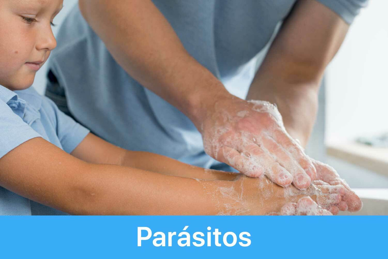 Parásitos