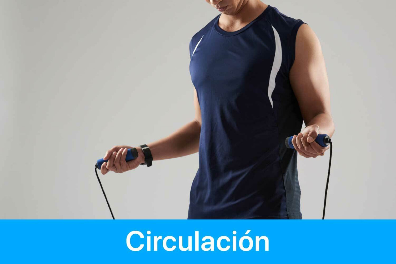 Circulación