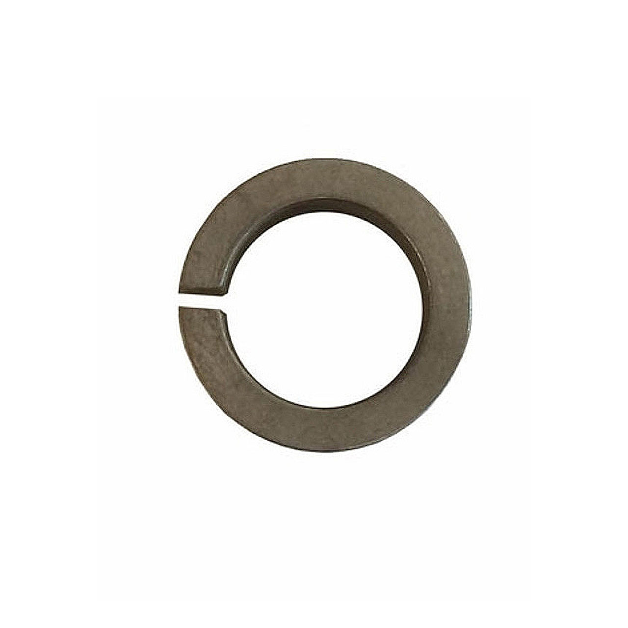 Tapered Ring for Front Shock Bolt | Van Cafe