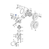 Thermostat Housing To Coolant Outlet Gasket - 1.9L