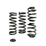 Syncro Coil Springs By Schwenk