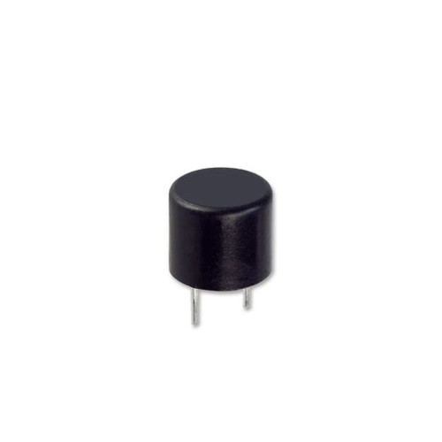 Propex 2A Onboard Slow Blow Fuse